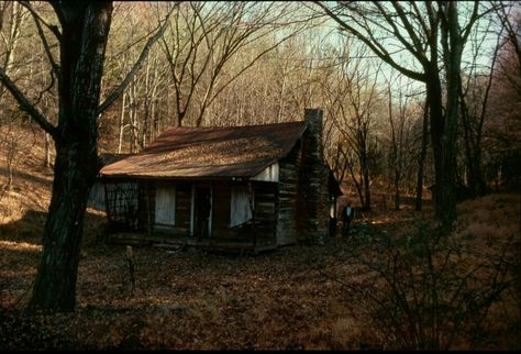 The Evil Dead cabin. The Evil Dead 1981, Evil Dead 1981, The Evil Dead, Old Cabin, Living Colors, Cabin Aesthetic, Sam Raimi, Book Of The Dead, Plans Architecture