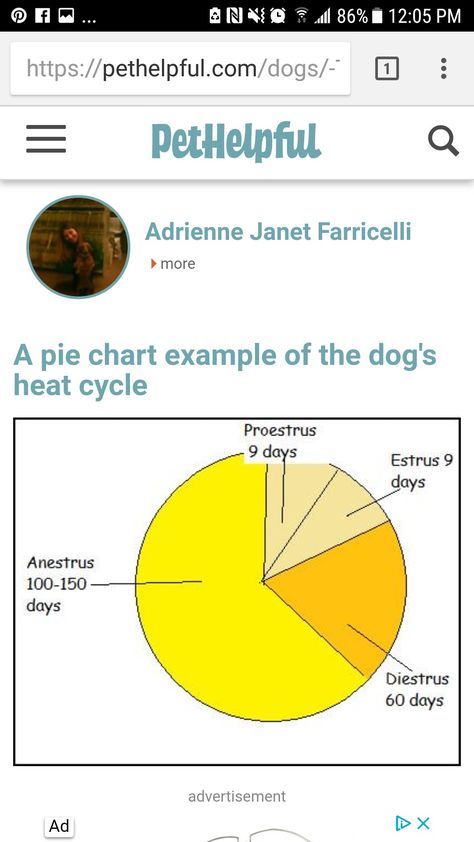 Dog Heat Cycle Chart, Dog Heat Cycle, Cycle Chart, Dog Heat, Dog In Heat, Pie Chart, Heat, Puppies, Pet