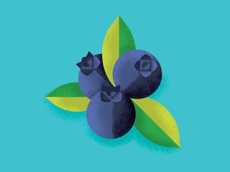 Blueberry Illustration, Blueberry Design, 동화 삽화, Illustrator Inspiration, Flat Design Illustration, Bunny Drawing, Illustration Ideas, Fruit Illustration, Fruit Design