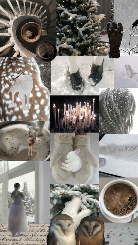 attempting to romanticize winter because its coming up and i hate it x #winter #winteraesthetic #romanticizinglife Romanticize Winter, Romanticizing Winter, Its Coming, Winter Aesthetic, Things To Come