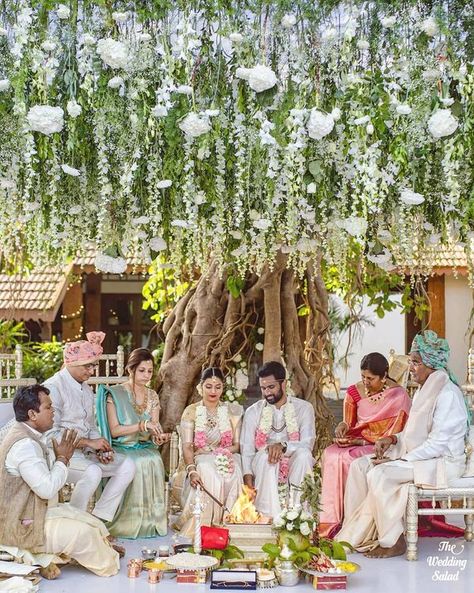 #DecorHacks: Here's How You Can Utilise Trees At Your Wedding Venue! Green Decor Ideas, Wedding Background Images, Wedding Home Decoration, Pink Photography, Mandap Decor, Most Beautiful Images, Banyan Tree, Winter Mornings, Wedding Background