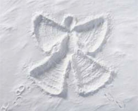 Pixie Hollow Fairies, Christmas Essentials, Angel Posters, Fun Winter Activities, I Love Snow, Pixie Hollow, Poem A Day, Dreaming Of A White Christmas, Snow Angel