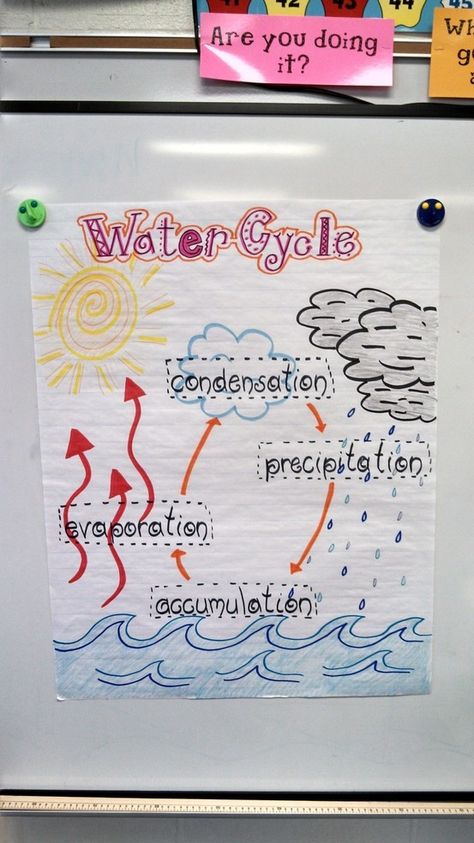 water cycle for 2nd grade | visual of the Water Cycle for my second grade class. | Science The Water Cycle Anchor Chart, Science For 2nd Grade, Science Water Cycle, Ckla Second Grade, Water Cycle Anchor Chart, Water Cycle Poster, Water Cycle Activities, Cycle Poster, Water Unit