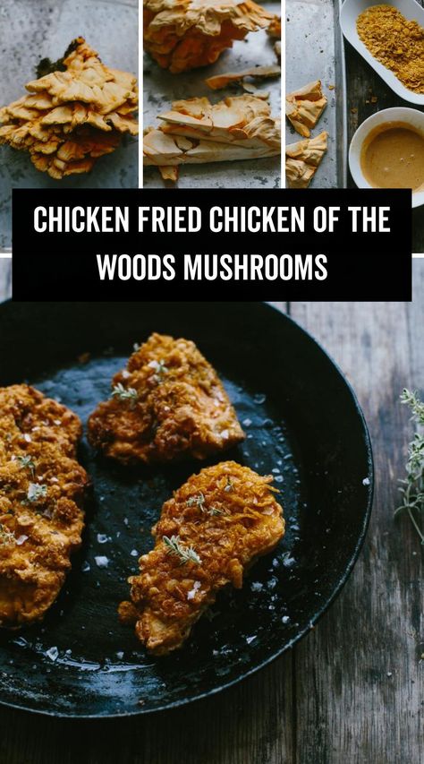 Fried Chicken Of The Woods Recipe, Chicken Of The Woods Recipes, Chicken Of The Woods Mushroom Recipes, Chicken Of The Woods Recipe, Chicken Of The Woods Mushroom, Friday Meals, Alaska Recipes, Fried Mushroom Recipes, Wild Mushroom Recipes