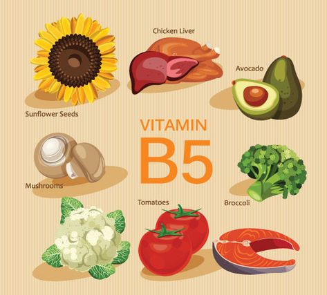 Vitamin B Complex During Pregnancy: Why They Are Important Vitamin B5 Foods, Vitamin D Side Effects, B12 Rich Foods, Vitamin Rich Foods, Mineral Food, Pregnancy Vitamins, B5 Vitamin, Vitamin A Foods, Food Health Benefits