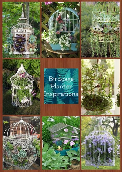 Birdcage Garden Ideas, Bird Cage Garden Ideas, Plants In Birdcage Ideas, Bird Cage Planter Ideas, Birdcage Planter, Vasos Vintage, Succulent Garden Diy, Bird Cage Decor, Garden Whimsy