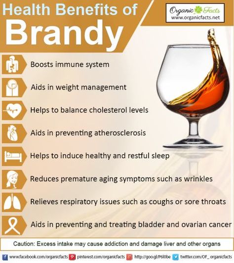 Beer Benefits, Alcohol Benefits, Fermented Fruit, Brandy Liquor, Fermentation Recipes, Cigars And Whiskey, Scotch Whiskey, Improve Sleep, Health Facts