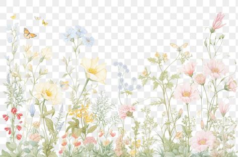 Watercolour Flower Border, Bookmark Background, Water Colour Flower, Flower Frame Png, White Background Wallpaper, Watercolor Flowers Pattern, Watercolor Border, Wedding Card Frames, Watercolor Flower Background