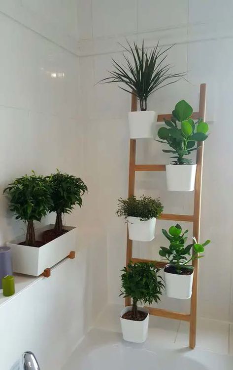 Ikea Ladder Plant Stand #verticalgarden #homedecor #decorhomeideas Ikea Garden, Indoor Vines, Wooden Flower Boxes, Wall Trellis, Indoor Plant Wall, Vertical Garden Indoor, Vertical Garden Design, Plant Wall Decor, Vertical Garden Diy