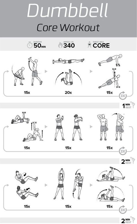 Beginner Workout At Home Dumbell, Dumbell At Home Workout, Weightlifting Exercises For Women, Abs Workout At Home Dumbbell, Core Workout Dumbbells, Free Weight Exercises For Women, Dumbell Home Workout Women, Cardio And Dumbell Workout, Workout Charts For Women At Home