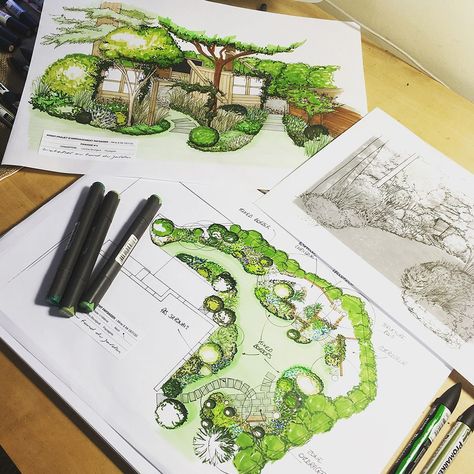 Landscape Design Rendering, Garden Landscape Drawing, Rendered Drawings, Marker Rendering, Landscape Architecture Plan, Architecture Drawing Presentation, Urban Garden Design, Landscape Design Drawings, Landscape Architecture Drawing