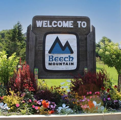 Things To Do In Beech Mountain, NC Beech Mountain Nc, Southern Living Plant Collection, Southern Living Plants, Beech Mountain, Easy Dinner Casseroles, Culture Quotes, Etiquette And Manners, Southern Living Homes, Plant Problems