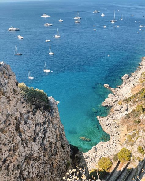 Favorite things I did on my trip to the Amalfi Coast 🍋🇮🇹 1. seeing the coast from a boat 🚤 2. visiting Positano 💕 3. drinks at Hotel Bellevue Syrene 🍸 4. stumbeling upon this beautiful view 🫶🏼 5. pizza on the beach in Atrani 🍕 6. day trip to Capri 🌴 7. cutest terrace at Hotel Bellevue Syrene 🌿 8. this incredible view from Hotel Poseidon 🤍 9. beach day in Positano ⛱️ 10. breakfast with a view 🥐 Which shot is your favorite? 🤍 You can find my ULTIMATE GUIDE TO THE AMALFI COAST linked in my bi... Pizza On The Beach, Bellevue Syrene, Breakfast With A View, The Amalfi Coast, Beautiful View, My Trip, Positano, Amalfi Coast, The Coast