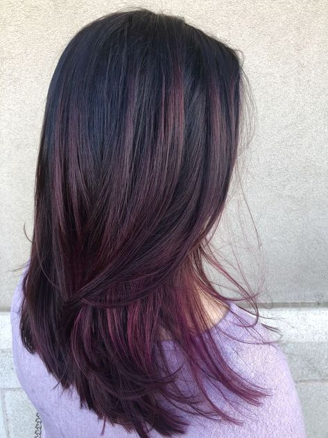 Plum Hair Color Highlights, Plum Hair Highlights, Plum Hair Color, Cola Hair, Hair Color Plum, Black Red Hair, Plum Hair, Hair Tint, Straight Hair Cuts