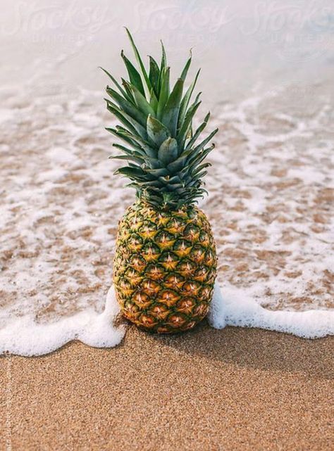 currently crushing on I howsweeteats.com Pineapple Wallpaper, Summer Backgrounds, Summer Bucket Lists, Summer Wallpaper, Tropical Vibes, Happy Weekend, Summer Of Love, Iphone Background, Beach Life