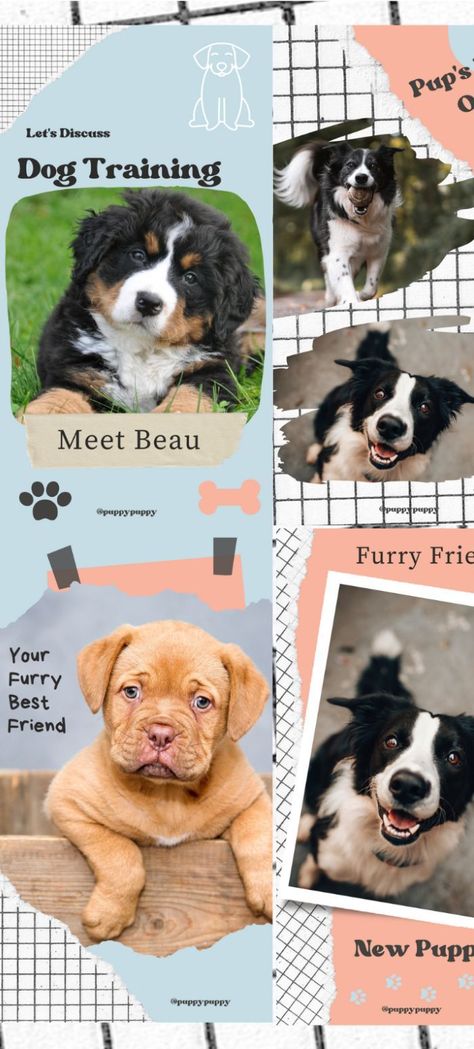 Dog Instagram Story Templates perfect for dog lovers and animal business owners now available for instant download. Click here to access. #Dog Instagram Story, Dog Instagram, Website Making, Fun Dog, Story Templates, Blogging Advice, Work From Home Moms, Instagram Story Template, Story Template Dog Instagram Story, Dog Instagram, Beginner Blogger, Website Making, Fun Dog, Story Templates, Blogging Advice, Animal Stories, Amazon Handmade