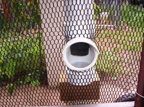 waterproof pvc feeder- through the fence Pvc Feeder, Chickens Breeds, Pet Chickens Breeds, Pvc Chicken Feeder, Modern Bird Feeders, Chicken Aesthetic, Bird Feeder Stands, Chicken Feeder Diy, Unique Bird Feeders