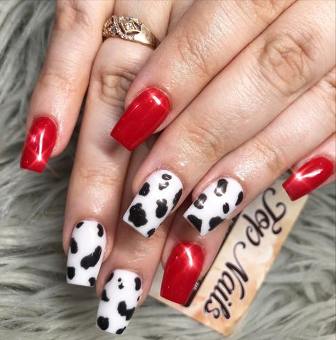 Cow Print Nails With Red, Red Western Nails Acrylic, Red Nails With Cow Print, Cow Print Christmas Nails, Red And Cow Print Nails, Christmas Cow Print Nails, Red Country Nails, Red Cow Nails, Fall Cow Print Nails