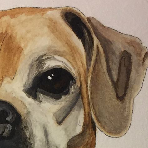 My favorite part is always the eyes. #wip #almostfinished #painting #watercolor #petportrait #dogportrait #illustration #doggo #puggle… Puggle Art, Puggle Drawing, Watercolor Art Landscape, Dog Eyes, Watercolor Dog, Dog Paintings, Watercolor Inspiration, Watercolour Tutorials, String Art