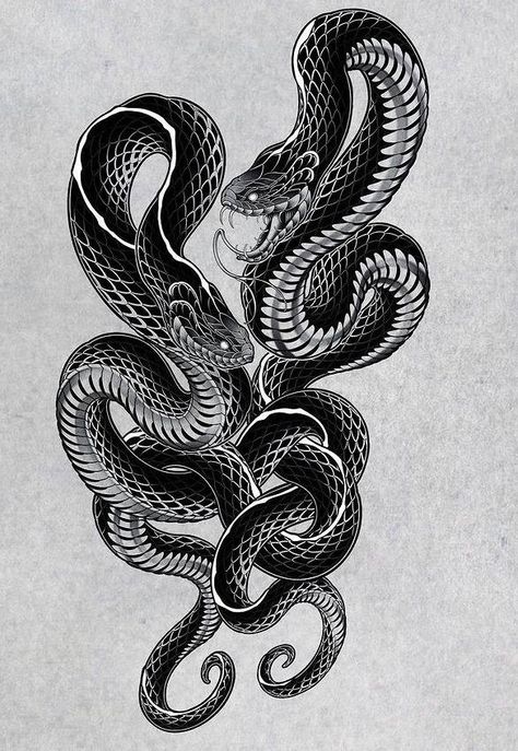 Japanese Snake Tattoo, Cobra Tattoo, Tattoo Snake, Snake Illustration, Snake Dragon, Snake Drawing, Tattoos Sleeve, Blackwork Tattoos, 2022 Design