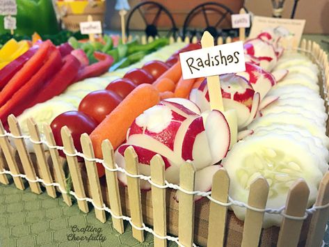 Create a cute garden-themed vegetable platter for your next spring or summer gathering! This fun veggie tray is a great way to include veggies at your party and decorate your food table! Garden Theme Food, Winnie The Pooh Food, Food Party Ideas, Garden Baby Shower Theme, Vegetable Crisps, Peter Rabbit Party, Vegetable Tray, Vegetable Platter, Rabbit Garden