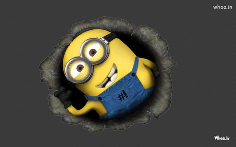 Here I am Laptop Wallpaper Desktop Wallpapers Dark, Minion Wallpaper Hd, Banana Minion, Minions Bob, Hd Wallpapers For Laptop, Wallpaper High Quality, Chef Party, Despicable Me Minions, Minions Wallpaper