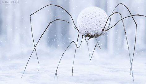 Snow Spider, Jia Hao on ArtStation at https://www.artstation.com/artwork/4mPY4 Kunstjournal Inspiration, Snow Monster, Arte Alien, Alien Concept, Alien Concept Art, Monster Concept Art, Alien Creatures, Creature Drawings, Arthropods