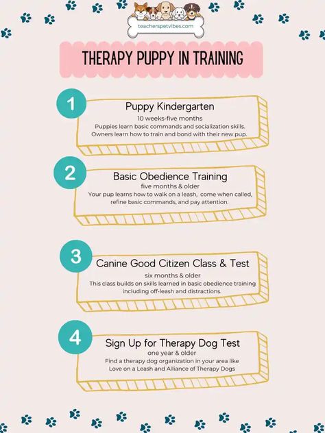 puppy training steps if you want your puppy to become a therapy dog Dog Vision, Working Dog Breeds, Lacrosse Training, Whelping Puppies, Therapy Dog Training, Dog Training School, Dog Organization, Puppy Mom, Therapy Dog