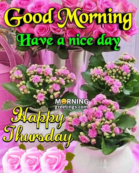 Good Morning Happy Thursday Image, Thursday Morning Quotes Inspiration, Good Morning Happy Thursday Quotes, Happy Thursday Images Beautiful, Good Morning Thursday Blessings, Thursday Good Morning, Good Thursday Morning, Good Morning Thursday Images, Monday Morning Blessing