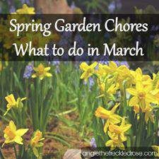 Spring Garden Chores Zone 5 Gardening, Cultivating Joy, Homestead Hacks, Natural Gardening, Garden Preparation, Window Box Garden, Garden Prepping, Raised Garden Bed Plans, Spring Gardening