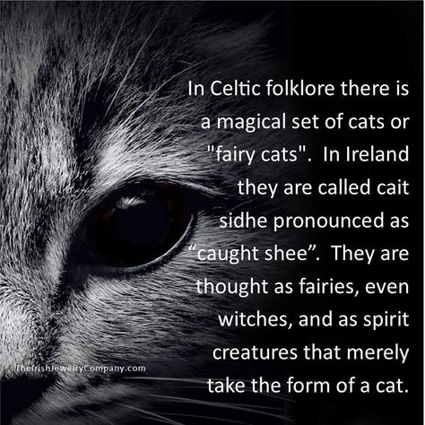 Have you Ever Heard of the Legend of the Celtic Cat? Fairy Cats, Celtic Folklore, Celtic Cats, Cat Spirit, Image Positive, Animal Spirit Guides, Animal Facts, Cat Facts, Cat Quotes