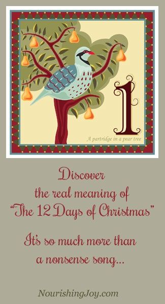 Popular Christmas Songs, 12 Days Of Xmas, Catholic Christmas, Christmas History, The 12 Days Of Christmas, Twelve Days Of Christmas, Christmas Song, Christmas Advent, 12 Days Of Christmas