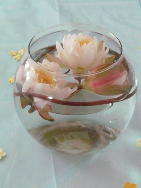 Pond lily Water Lily Centerpiece, Lily Themed Party, Water Lily Wedding, Starlight Wedding, Flower Party Themes, Water Centerpieces, Lilly Party, Lily Centerpieces, Pond Wedding