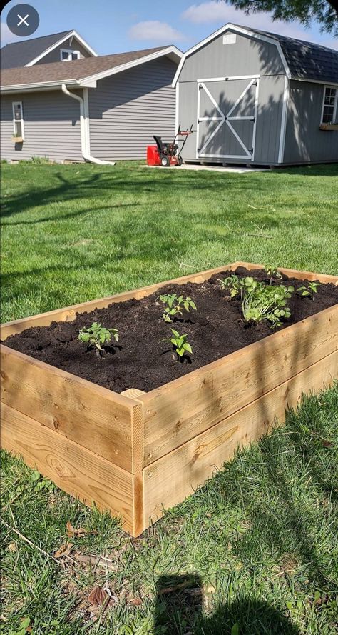 "The beautiful tones and scent of cedar are enough to attract you to this CEDAR Raised Bed Garden.  Now, imagine it bursting with veggies, herbs or flowers. This CEDAR Raised Garden Bed comes ina variety of sizes and up to 16\" deep making it perfect for all vegetables, herbs and flowers.  Cedar is naturally decay resistant so you can confidently plant directly in the bed without the hassle of a liner. (If you would like information about just how durable cedar is, send us a message.  We will be glad to send you some articles).   Of course adding protection will help your cedar beds last even longer.  Here is a link with food safe choices to easily add protection to your raised bed.   https://thepowertoolwebsite.com/food-safe-wood-finish We use only 100% Western Red Cedar for our planters, Raised Garden Bed Plans, Cedar Raised Garden Beds, Garden Boxes Raised, Cedar Garden, Raised Bed Garden, Raised Flower Beds, Backyard Garden Layout, Planter Beds, Building A Raised Garden