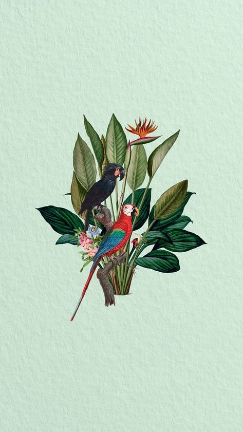 Vintage parrots iPhone wallpaper, botanical illustration. Remixed by rawpixel. | premium image by rawpixel.com / Adjima Rawpixel Background, Boho Wallpapers, Parrot Illustration, Birds Artwork, Parrot Wallpaper, Wallpaper Forest, Indian Motif, Wallpaper Botanical, Wild Jungle