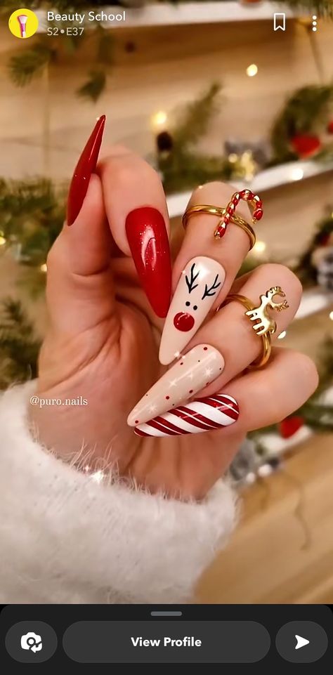 Nails 2023 Winter, Nail Designs Holiday, December Nail Ideas, Christmas Nail Designs Holiday, Winter Christmas Nails, Nails December, Nail Noel, Stiletto Shaped Nails, Fake Acrylic Nails