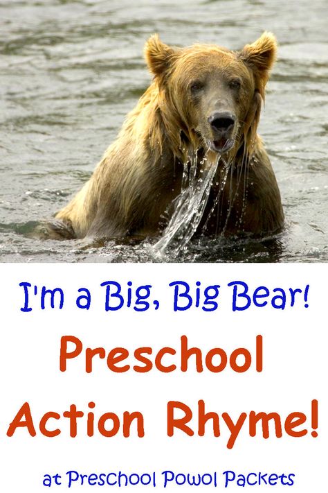 Fun action rhyme for preschoolers! Rhyming is an important pre-reading skill, and this will get your kids moving at the same time! Perfect for a filler song or activity, or bears, forest, or Letter B themes! Bears For Preschoolers, Bear Theme Preschool, Hibernation Preschool Activities, Preschool Letter B, Hibernation Preschool, Letter B Activities, Rhyming Preschool, Bear Activities, Bears Preschool