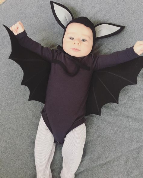 My baby bat ❤️🦇 first Purim 🦇❤️ Costume by @alonlivne ✋🏻#LeoMilkClub Halloween Kostüm Baby, Bat Halloween Costume, Holloween Costumes, Kid Halloween, Baby Halloween Outfits, Newborn Halloween, Bat Costume, Baby Kostüm