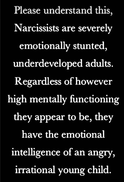 Non Confrontational, Narcissistic Ex, Still Healing, Flying Monkeys, Life Learning, Inside My Head, Narcissistic Behavior, The Bakery, The Warriors