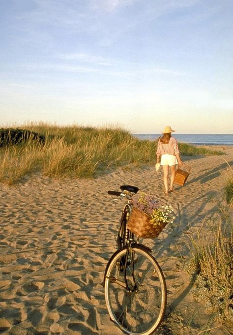 Cape Cod Fall Aesthetic, Cape Cod October, Cape Cod Autumn, Cape Cod September, Summer Aesthetic Cape Cod, Old Cape Cod Aesthetic, Romantic Beach Picnic, Cape Cod Aesthetic, Chatham Cape Cod