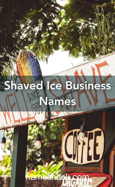 Shaved Ice Truck Ideas, Snow Cone Business Names, Shaved Ice Business Ideas, Snow Cone Stand Ideas Food Truck, Shaved Ice Ideas, Snowcone Stand Ideas, Shave Ice Stand, Shaved Ice Business, Ice Names