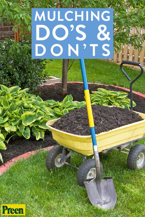 Mulching Ideas Front Yard, How To Add Mulch Flower Beds, How To Plant Flowers In Mulch, Flower Bed With Black Mulch, Mulched Front Yard, Black Mulch Around Tree, Flower Bed Mulch Ideas, How To Mulch Landscaping, Garden Mulch Ideas Yard Landscaping