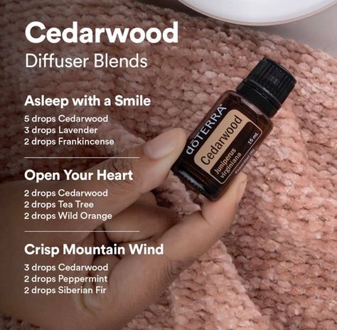 Doterra Cedarwood Diffuser Blends, Sleep Diffuser Blend Doterra, Doterra Sleep Blend Diffuser, Cedarwood Essential Oil Blends, Cedarwood Diffuser Blends, Doterra Cedarwood, Doterra Oils Recipes, Doterra Diffuser Blends, Essential Oil Combinations