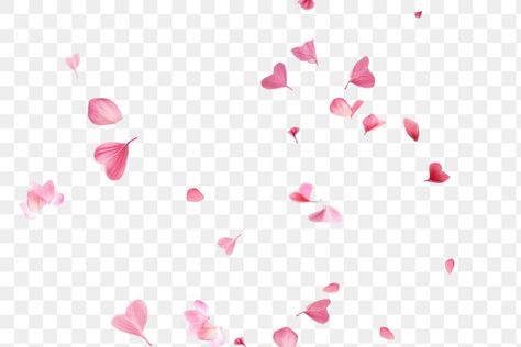 Flower With Petals Falling Tattoo, Rose With Petals Falling, Sakura Petals Png, Petals Falling, Falling Petals, Falling Flowers, Pink Flower Transparent Background, Christmas Svgs, Flowers Png