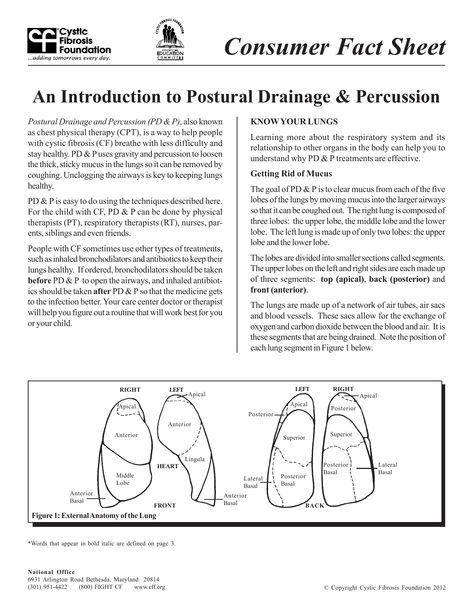 Introduction-to-Postural-Drainage-and-Pecussion-03-2012 Postural Drainage, Belly Breathing, Book Reports, Arm Muscles, Term Paper, Body Organs, Respiratory System, Fact Sheet, Breath In Breath Out