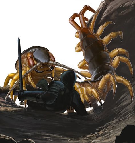 Y'know... when adventurers talk about fighting giant bugs... they NEVER describe THIS!!! Giant Centipede, Centipedes, D D Monsters, Pathfinder Rpg, Giant Monsters, Creepy Crawlies, Fantasy Images, Fantasy Monster, Monster Design