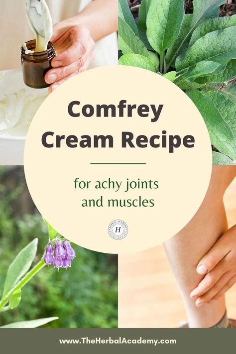 Comfrey Cream Recipe for Achy Joints and Muscles | Herbal Academy | Learn how to make this simple comfrey cream recipe featuring comfrey root tincture to ease achy joints and muscles naturally. Comfrey Salve, Achy Joints, Herbal Academy, Salve Recipes, Herbal Salves, Herbal Tinctures, Herbal Recipes, Herbal Apothecary, Natural Healing Remedies