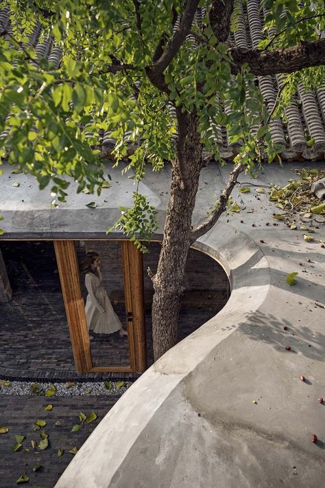 Gallery of Qishe Courtyard / ARCHSTUDIO - 12 Chinese Courtyard, Types Of Bricks, Front Courtyard, Internal Courtyard, Glass Brick, Building Roof, Adaptive Reuse, Courtyard House, Small Yard