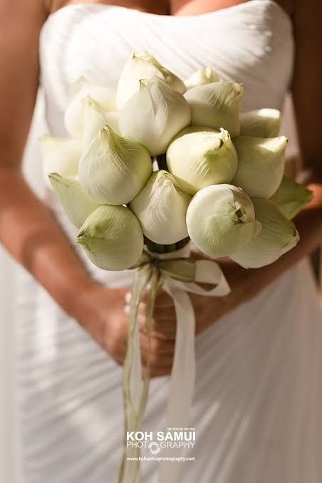 https://encrypted-tbn0.gstatic.com/images?q=tbn:ANd9GcQzXzy-ZoytBWSdf7-Q1Sw-yDWPzGkR_Wj58Q&usqp=CAU White Lotus Flower Bouquet, Lotus Bridal Bouquet, White Lotus Bouquet, Lotus Wedding Bouquet, Lotus Bouquet Wedding, Lotus Wedding Decor, Lotus Flower Wedding, Lotus Bouquet, Flower Wedding Bouquet