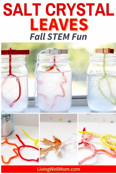 9 Kindergarten STEM Activities That Are Great For Fall Salt Crystal Leaves Experiment, How To Make Crystals With Salt, Salt Crystal Leaves, Kindergarten Stem Activities, Fall Science Activities, November Themes, Fall Stem Activities, Christmas Knomes, Autumn Board